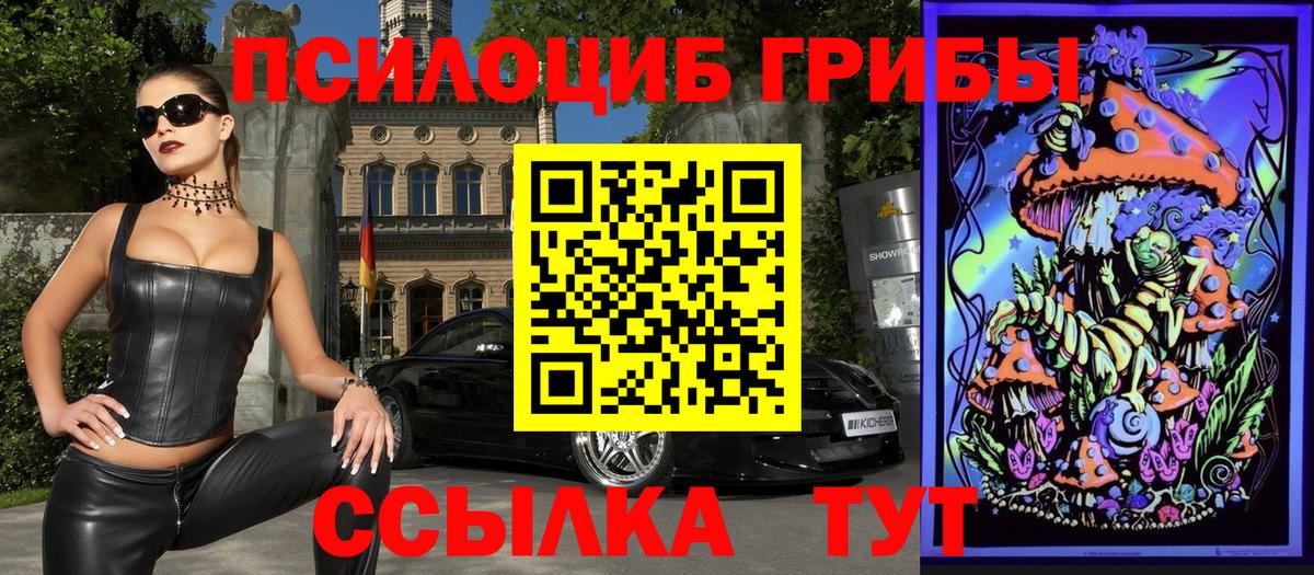 Галлюциногенные грибы Psilocybine cubensis  Вход с VPN  Советская Гавань  Псилоцибиновые грибы мицелий 